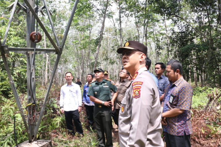 WhatsApp Image 2022-12-01 at 04.17.20