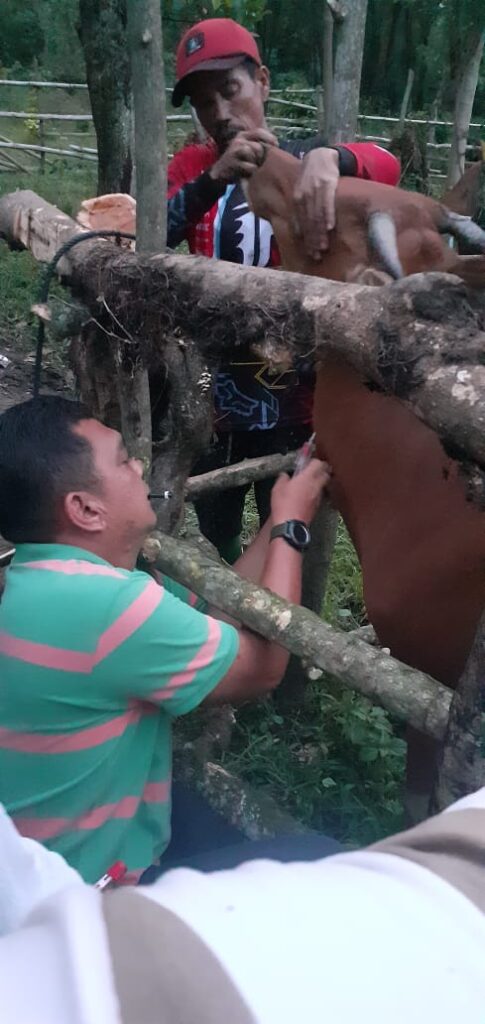 WhatsApp Image 2022-12-06 at 23.43.12