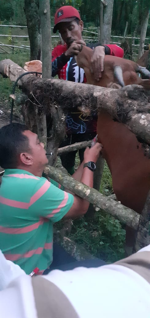 WhatsApp Image 2022-12-06 at 23.43.12