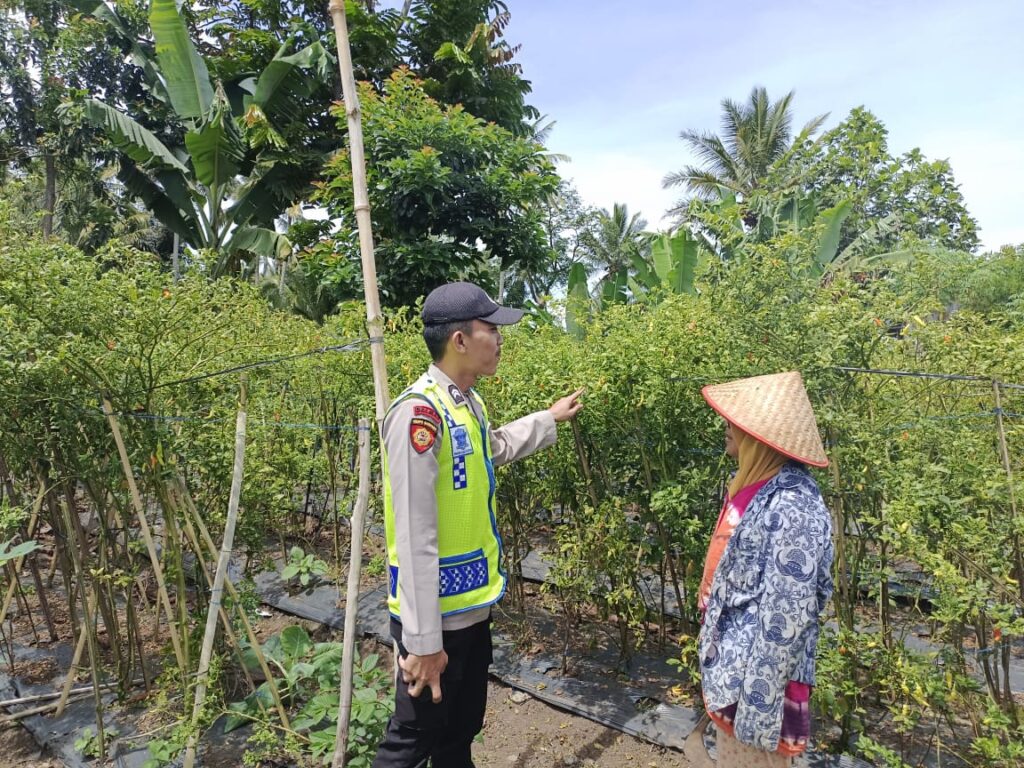 WhatsApp Image 2022-12-07 at 07.38.45