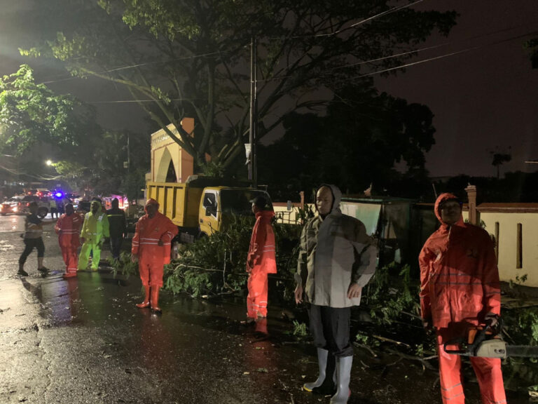 WhatsApp Image 2022-12-09 at 07.45.37