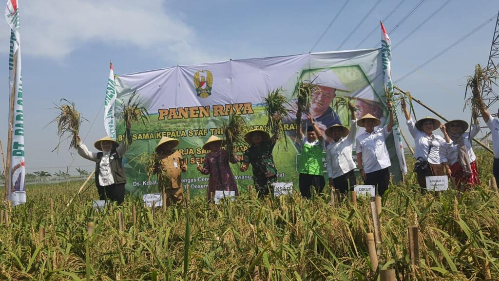 WhatsApp Image 2022-12-13 at 05.32.40