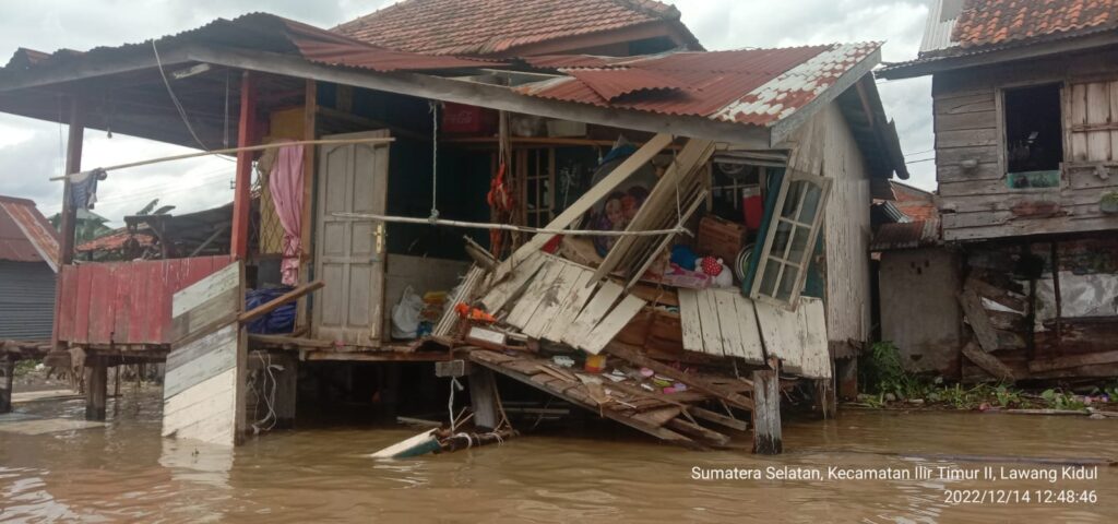 WhatsApp Image 2022-12-14 at 05.58.56