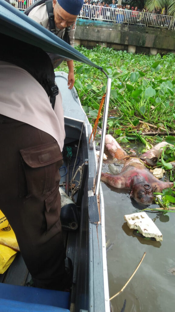 WhatsApp Image 2022-12-23 at 16.14.30