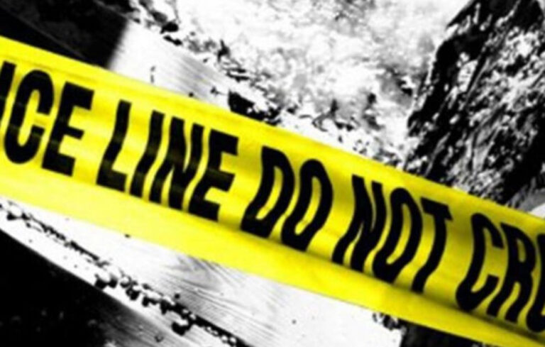 WhatsApp Image 2022-12-24 at 01.37.53