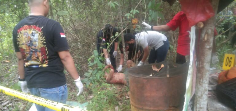 WhatsApp Image 2022-12-27 at 23.07.28