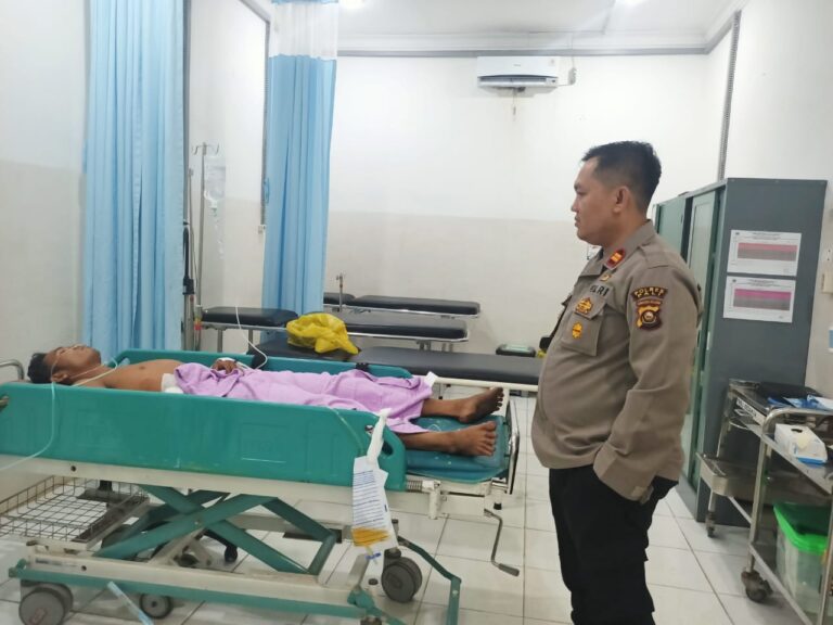 WhatsApp Image 2022-12-31 at 23.13.37