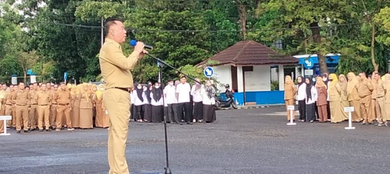 WhatsApp Image 2023-01-01 at 17.11.13