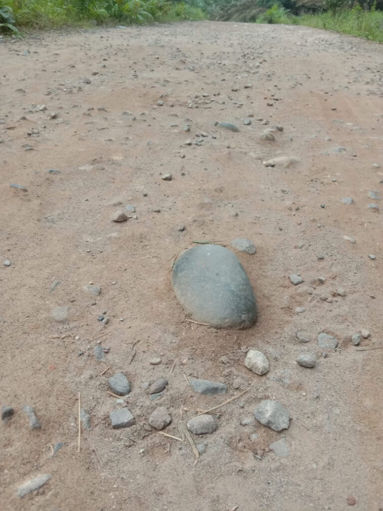 WhatsApp Image 2023-01-02 at 05.59.12