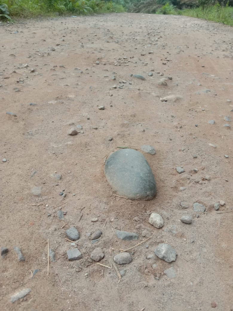 WhatsApp Image 2023-01-02 at 05.59.12