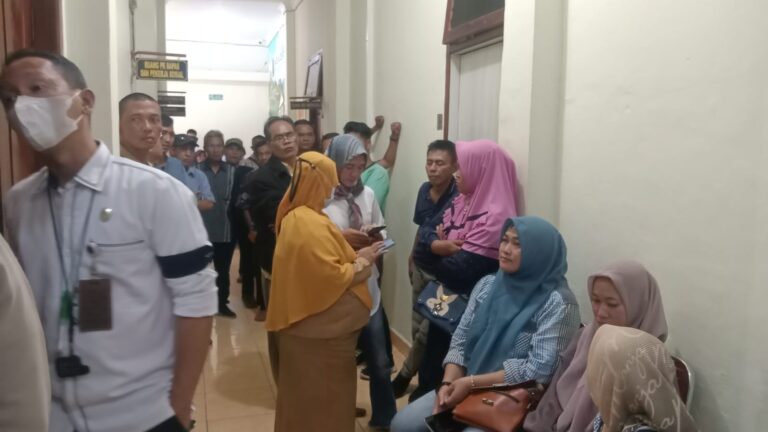 WhatsApp Image 2023-01-02 at 22.36.02