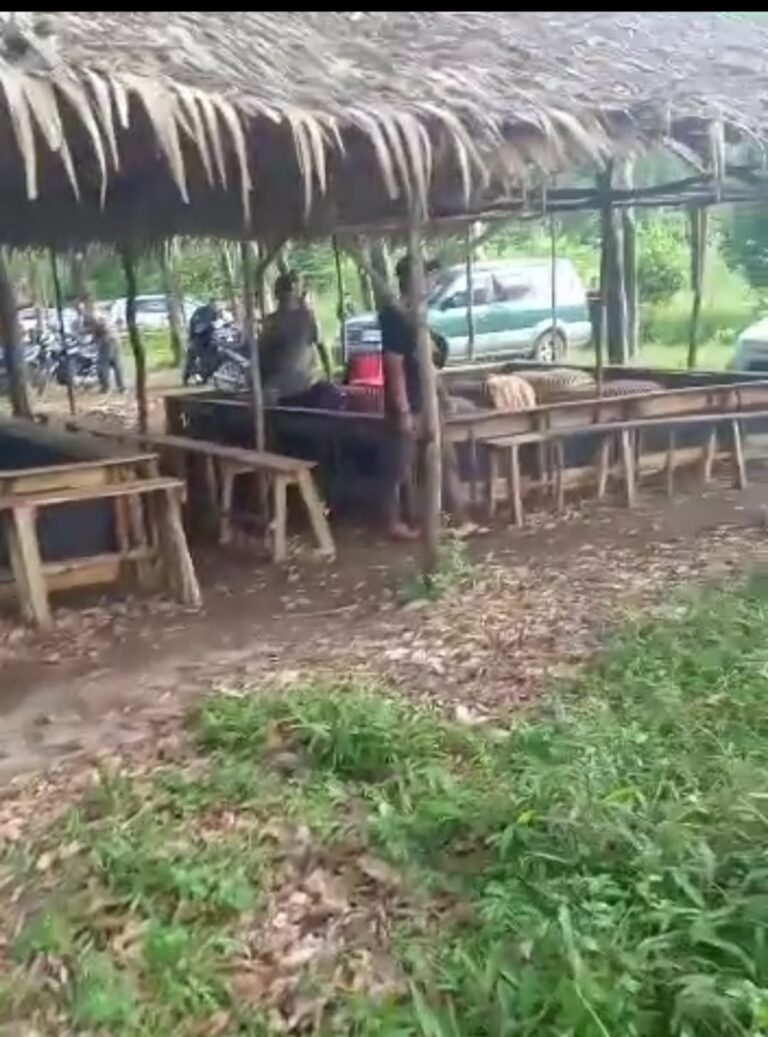 WhatsApp Image 2023-01-07 at 23.24.56(1)