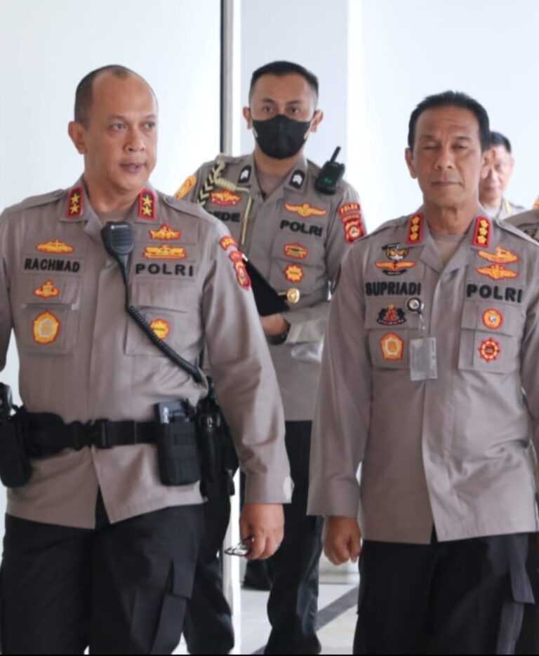 WhatsApp Image 2023-01-08 at 17.19.37