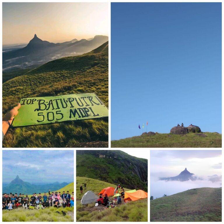 WhatsApp Image 2023-01-15 at 14.41.41