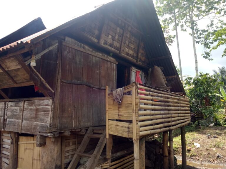 WhatsApp Image 2023-01-16 at 05.10.30