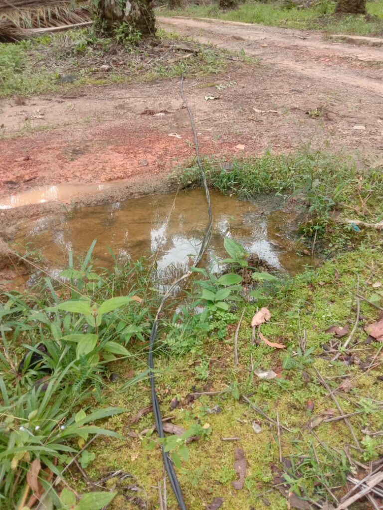 WhatsApp Image 2023-01-18 at 05.28.20