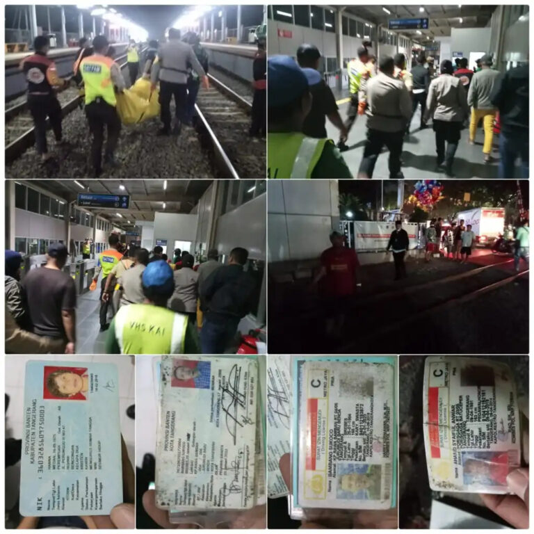 WhatsApp Image 2023-01-19 at 05.57.50