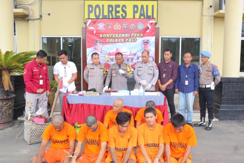 WhatsApp Image 2023-02-09 at 05.15.32