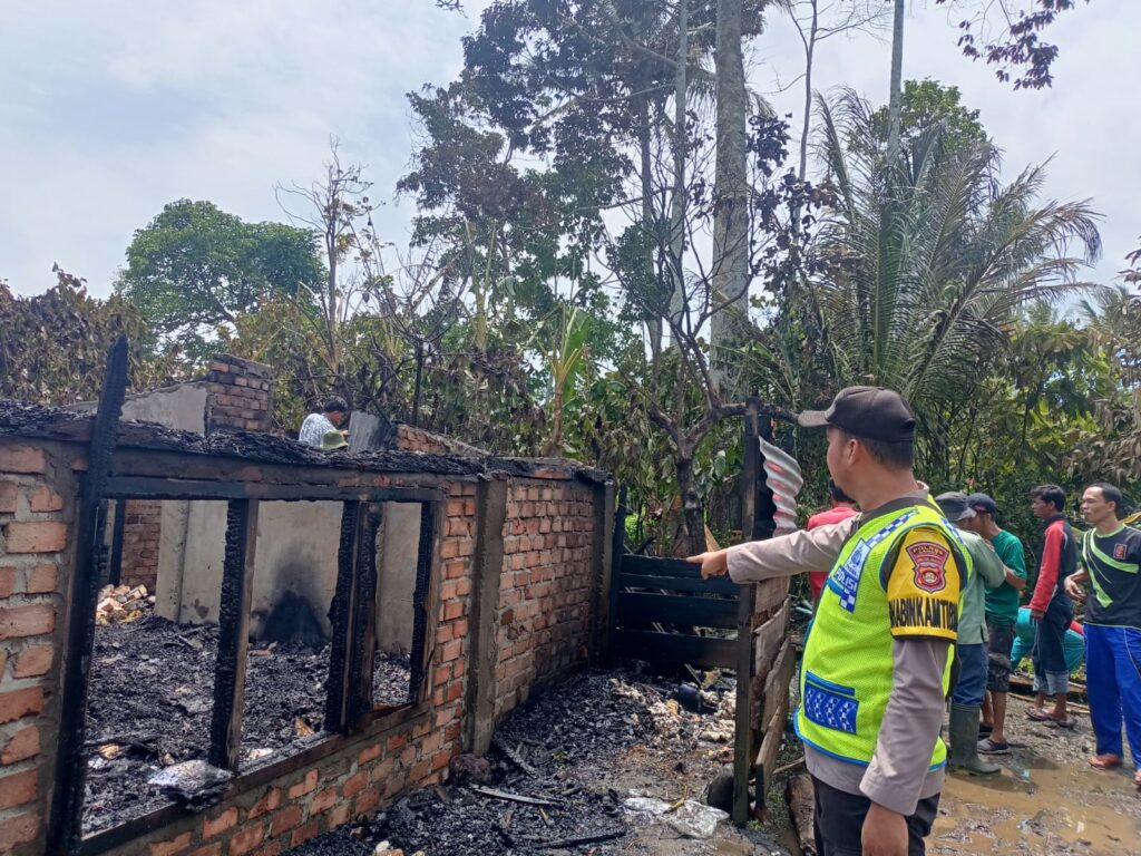 WhatsApp Image 2023-02-15 at 01.24.35