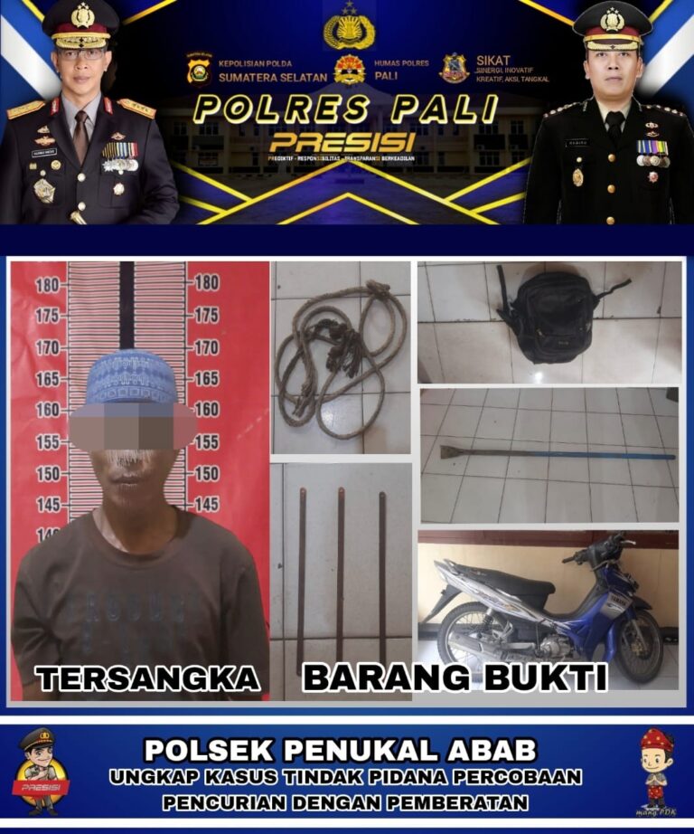 WhatsApp Image 2023-02-18 at 17.45.34