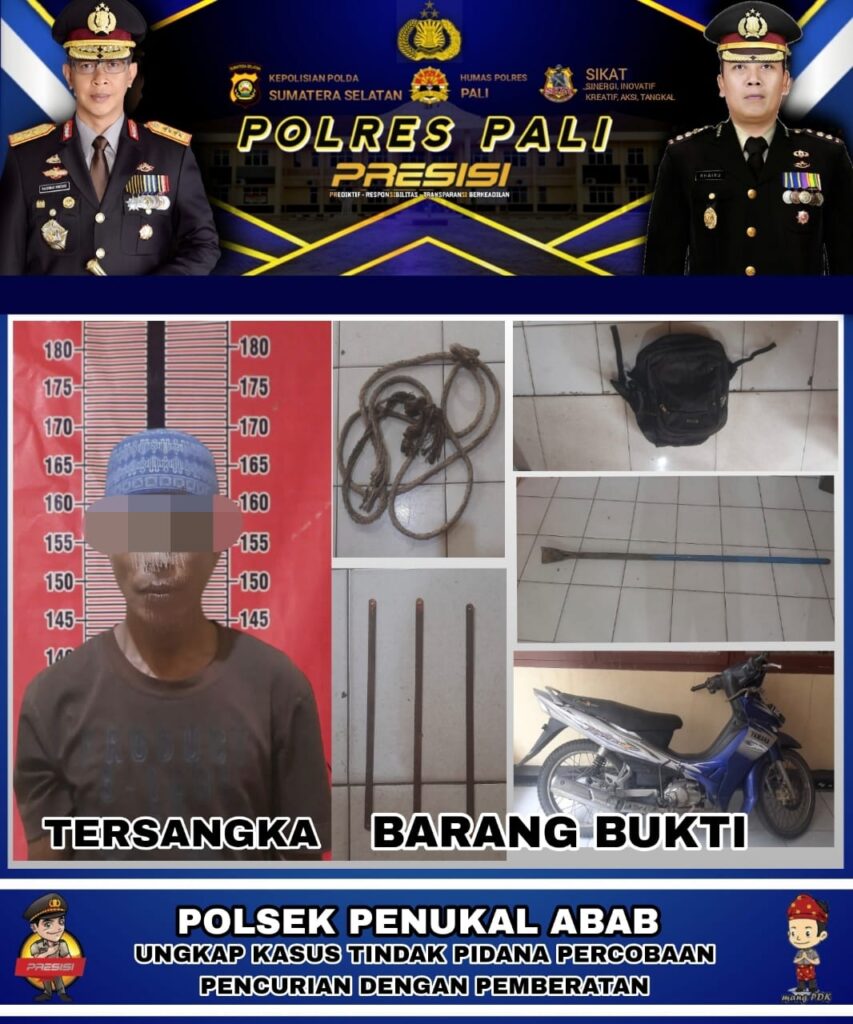 WhatsApp Image 2023-02-18 at 17.45.34