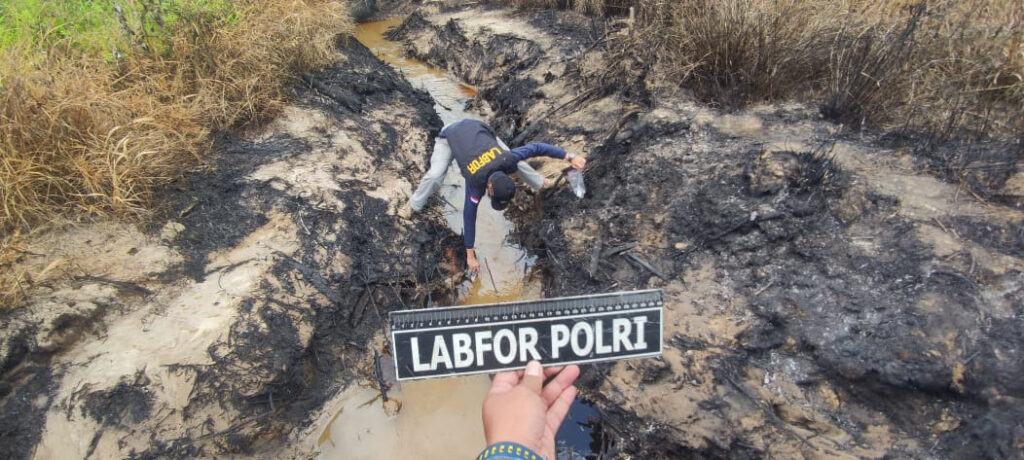 WhatsApp Image 2023-02-19 at 03.29.42