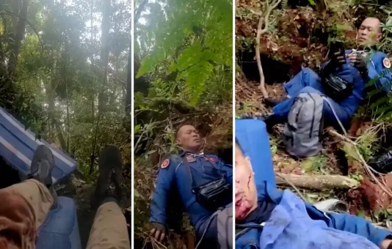 WhatsApp Image 2023-02-19 at 06.38.47