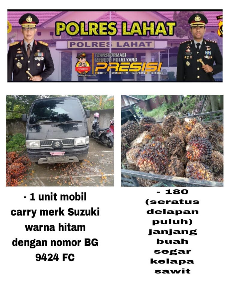 WhatsApp Image 2023-02-26 at 00.17.12