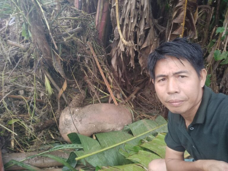 WhatsApp Image 2023-03-09 at 23.53.34