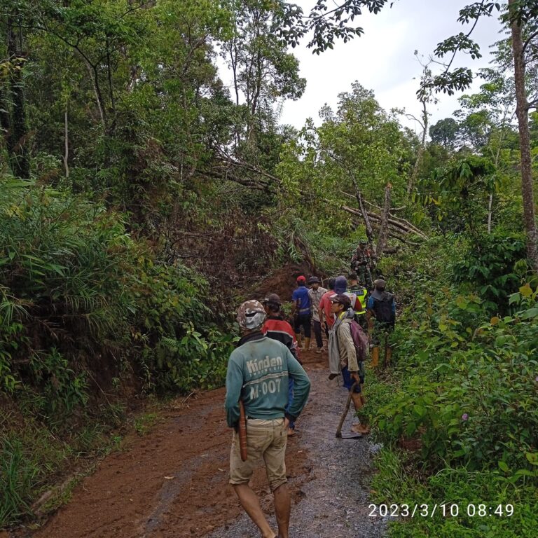 WhatsApp Image 2023-03-10 at 19.56.54