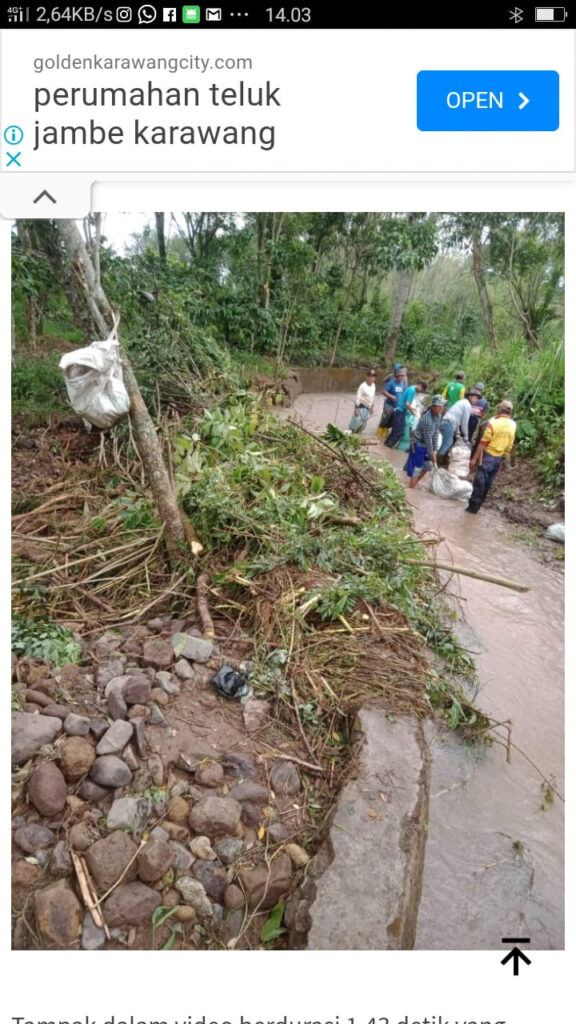 WhatsApp Image 2023-03-12 at 08.30.45