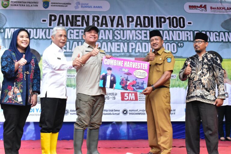 WhatsApp Image 2023-03-15 at 03.02.48(1)