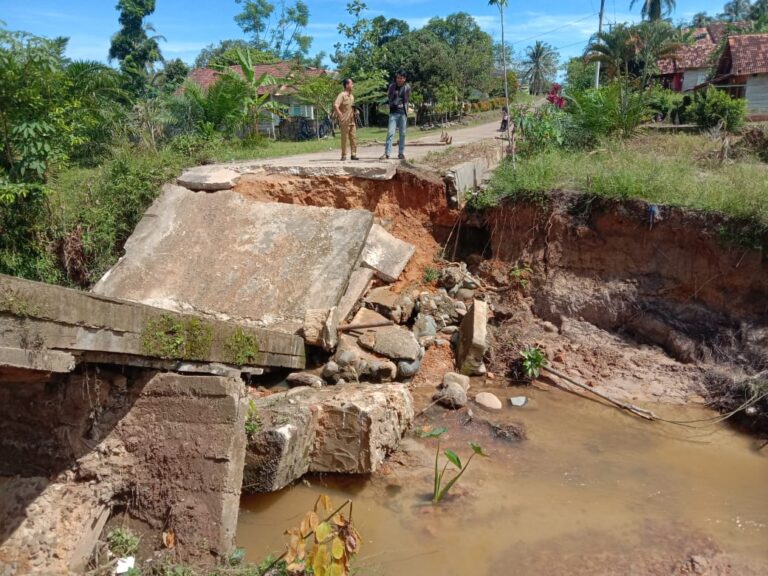 WhatsApp Image 2023-04-16 at 22.54.48(1)