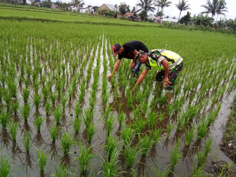 WhatsApp Image 2023-04-18 at 04.46.45