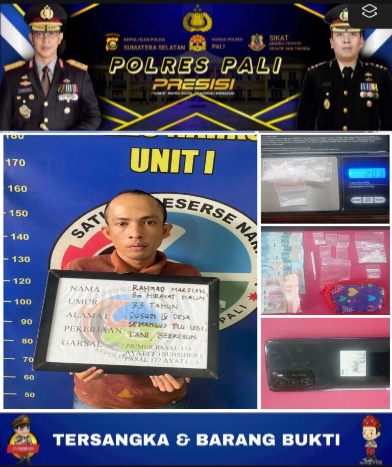 WhatsApp Image 2023-05-03 at 15.47.10