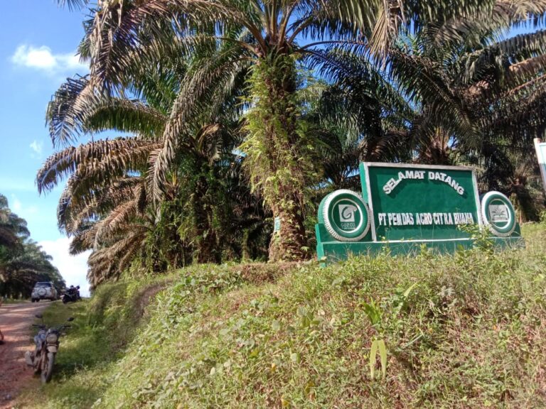 WhatsApp Image 2023-05-04 at 08.35.03