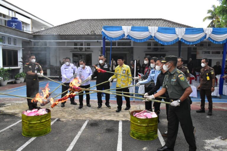 WhatsApp Image 2023-05-11 at 00.06.44