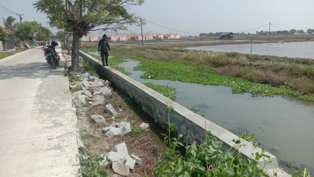 WhatsApp Image 2023-05-23 at 14.29.11