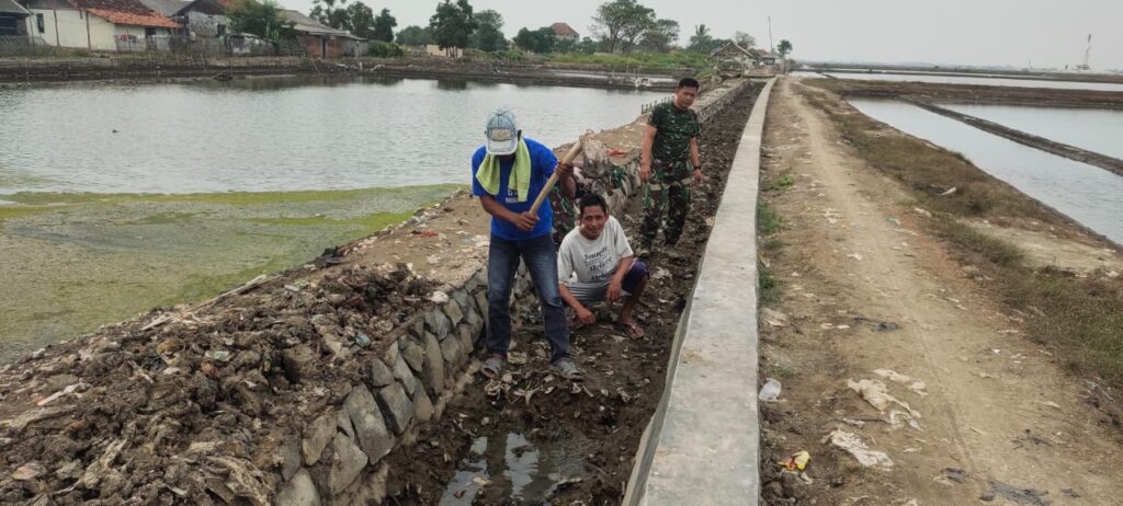 WhatsApp Image 2023-05-31 at 10.43.13