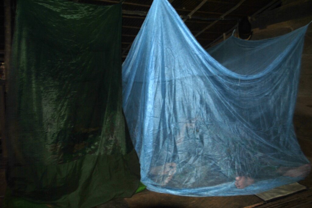 WhatsApp Image 2023-06-01 at 07.44.09