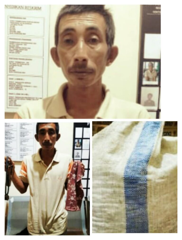 WhatsApp Image 2023-06-05 at 19.33.34