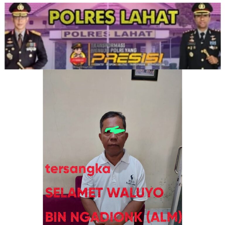 WhatsApp Image 2023-06-22 at 03.08.43