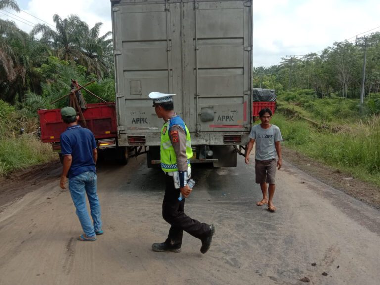 WhatsApp Image 2023-06-26 at 01.13.39