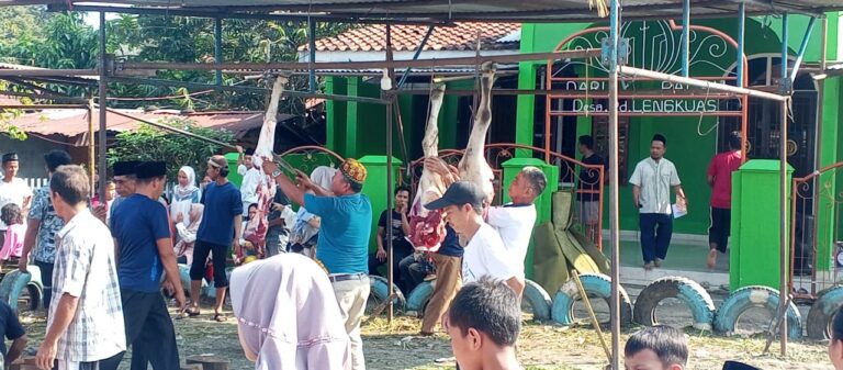 WhatsApp Image 2023-06-28 at 22.43.07