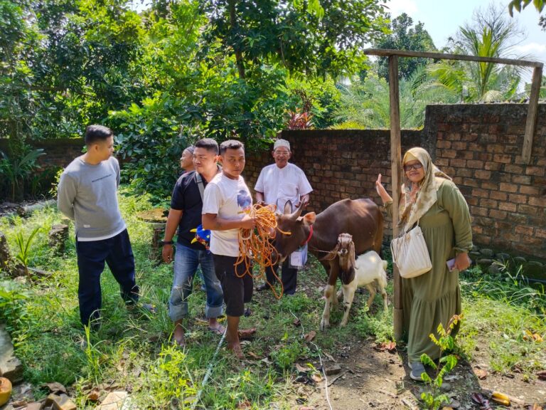 WhatsApp Image 2023-06-28 at 22.47.28