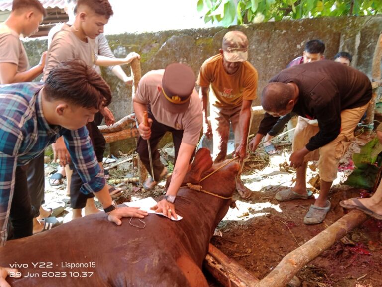 WhatsApp Image 2023-06-29 at 06.25.21