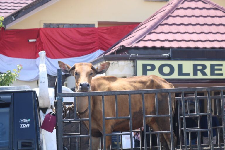 WhatsApp Image 2023-07-05 at 05.45.38(1)