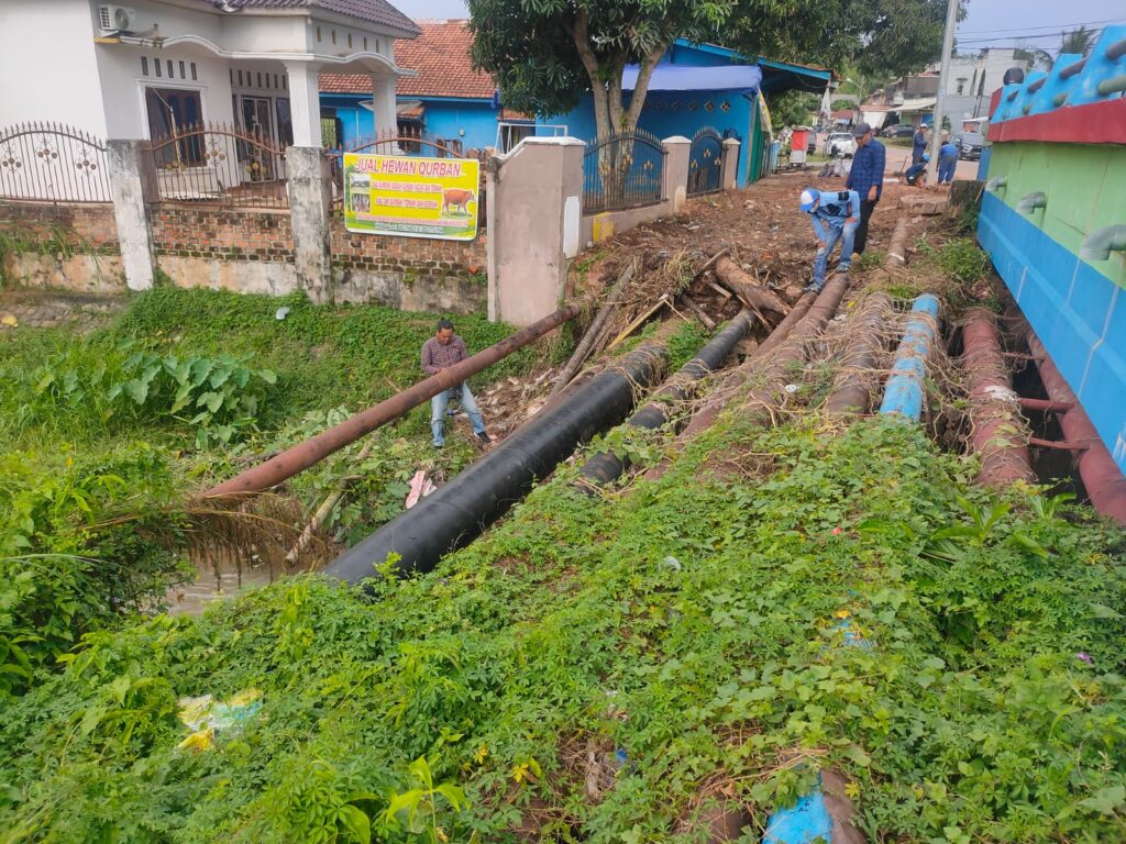 WhatsApp Image 2023-07-12 at 00.28.06(2)