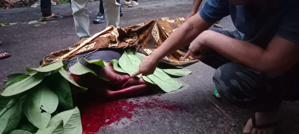 WhatsApp Image 2023-07-12 at 00.37.06