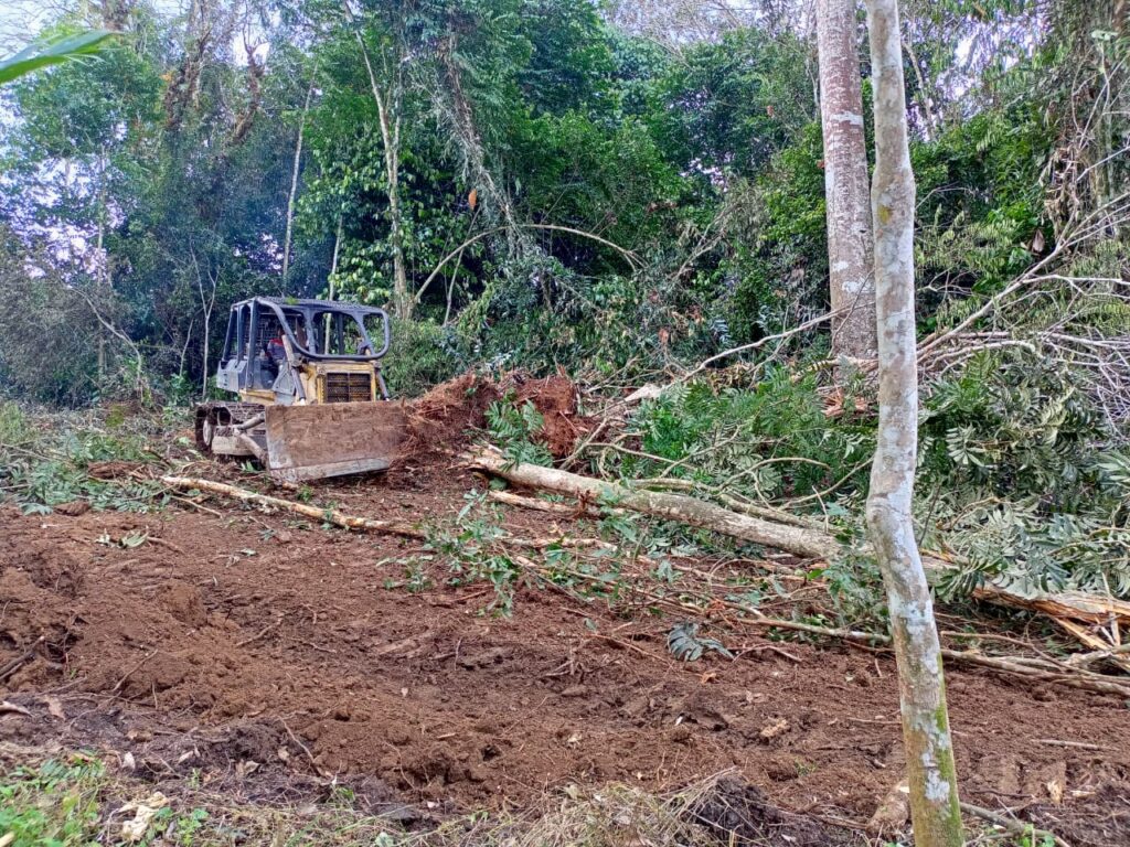 WhatsApp Image 2023-07-18 at 22.20.35